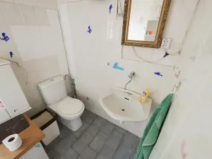 Prodej ubytování, Březina, 350 m2