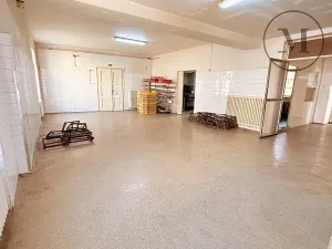 Prodej rodinného domu, Netolice, Bavorovská, 340 m2