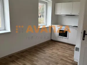 Pronájem bytu 3+kk, Děčín, 63 m2