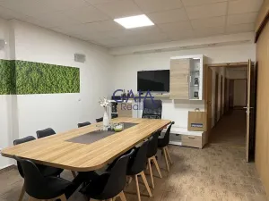 Pronájem obchodního prostoru, Hodonín, Příční, 364 m2