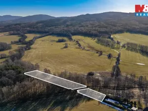 Prodej louky, Dětřichov, 4178 m2