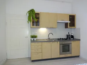 Pronájem rodinného domu, Brno, Obřanská, 90 m2