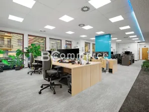 Pronájem kanceláře, Brno, Hlinky, 230 m2