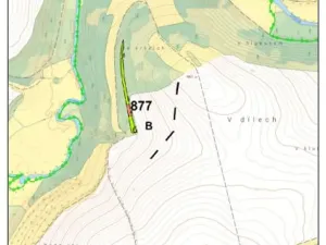 Prodej lesa, Rovná, 2569 m2