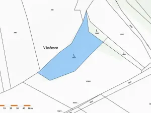 Prodej lesa, Pavlice, 3317 m2