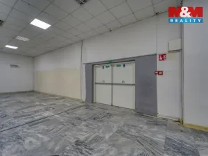 Pronájem obchodního prostoru, Plzeň - Východní Předměstí, Americká, 1603 m2