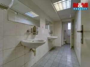 Pronájem obchodního prostoru, Plzeň - Východní Předměstí, Americká, 1603 m2