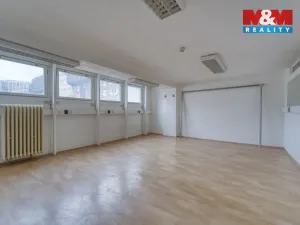 Pronájem obchodního prostoru, Plzeň - Východní Předměstí, Americká, 1603 m2