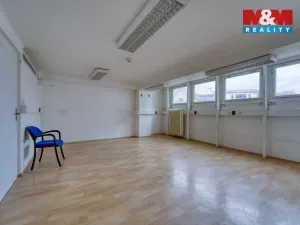 Pronájem obchodního prostoru, Plzeň - Východní Předměstí, Americká, 1603 m2