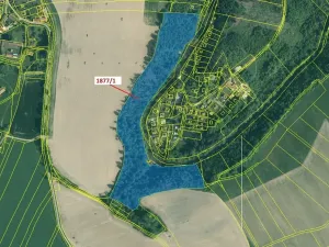 Dražba lesa, Římov, 49760 m2