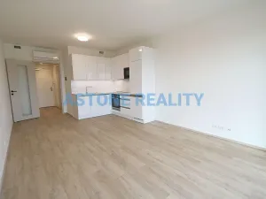 Pronájem bytu 1+kk, Praha - Žižkov, Šrámkové, 43 m2