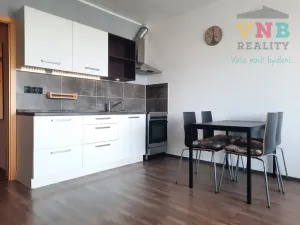 Pronájem bytu 1+kk, Olomouc, Družební, 37 m2