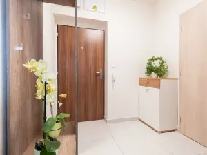 Pronájem bytu 1+kk, Brno, Moskalykova, 34 m2