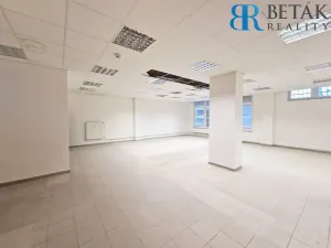 Pronájem obchodního prostoru, Přerov, Trávník, 500 m2