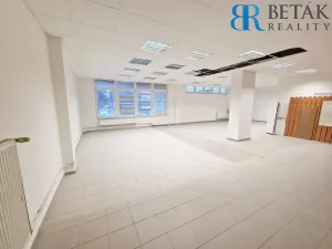 Pronájem obchodního prostoru, Přerov, Trávník, 500 m2