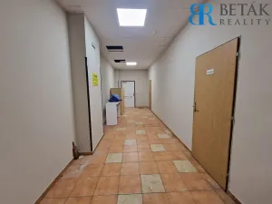 Pronájem obchodního prostoru, Přerov, Trávník, 500 m2