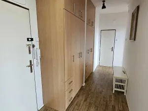 Prodej bytu 1+1, Praha - Vinohrady, Písecká, 52 m2