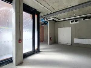 Pronájem obchodního prostoru, Praha - Staré Město, U milosrdných, 147 m2