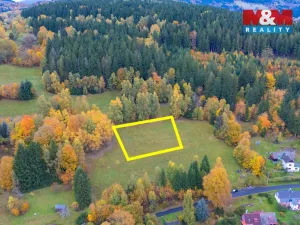 Prodej louky, Tanvald - Šumburk nad Desnou, 2029 m2