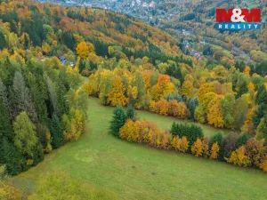 Prodej louky, Tanvald - Šumburk nad Desnou, 1444 m2