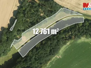 Prodej louky, Tachov, 12761 m2