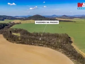 Prodej louky, Tachov, 12761 m2