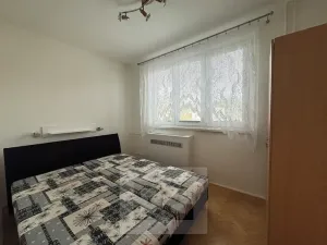 Pronájem bytu 1+1, Brno, Vídeňská, 43 m2