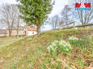Prodej pozemku pro bydlení, Přimda - Újezd pod Přimdou, 927 m2