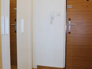 Pronájem bytu 1+kk, Plzeň, Plaská, 27 m2