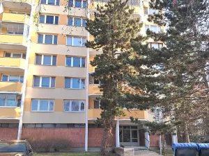 Prodej bytu 4+1, Brno, Milénova, 90 m2
