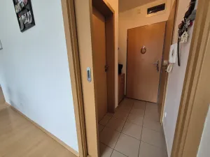 Pronájem bytu 2+kk, Brno, Černého, 51 m2