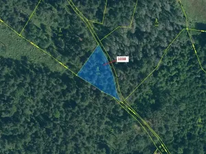Dražba lesa, Hradiště, 1028 m2