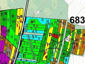 Dražba lesa, Vesce, 682 m2