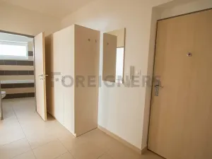 Pronájem bytu 2+kk, Brno, Jemelkova, 48 m2