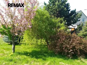 Prodej zahrady, Mikulovice, 1350 m2