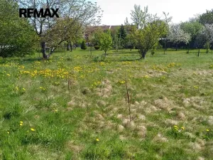 Prodej zahrady, Mikulovice, 1350 m2