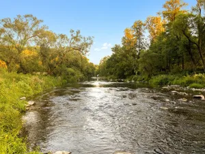 Prodej pozemku, Vlastějovice - Kounice, 650 m2