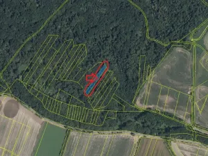 Prodej lesa, Přerov nad Labem, 2268 m2