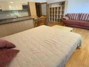 Pronájem bytu 1+kk, Brno, Vinohrady, 38 m2