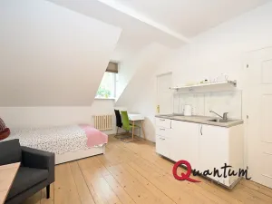 Pronájem bytu 1+kk, Praha - Smíchov, U Pernikářky, 23 m2