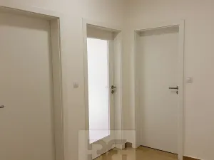 Pronájem bytu 2+kk, Plzeň, 58 m2