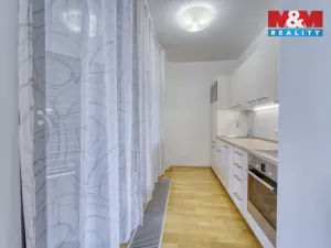 Prodej bytu 1+kk, Praha - Žižkov, Malešická, 38 m2