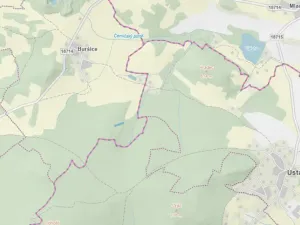 Prodej lesa, Kolinec - Buršice, 1299 m2