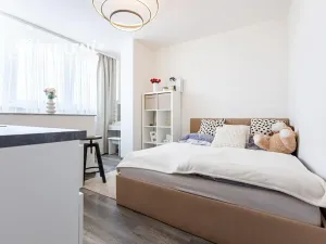 Pronájem bytu 1+kk, Praha - Střížkov, Děčínská, 22 m2