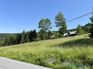 Prodej lesa, Krásná, 21810 m2