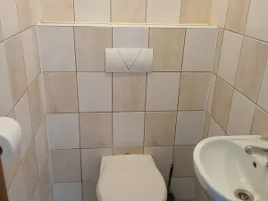 Pronájem bytu 4+1, Frýdlant nad Ostravicí, Revoluční, 100 m2