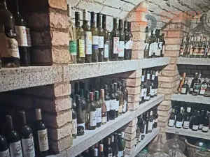 Prodej ubytování, Němčičky, 300 m2