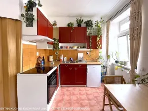 Pronájem bytu 1+1, Brno, Gorkého, 40 m2