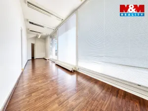 Pronájem obchodního prostoru, Písek, Čechova, 53 m2