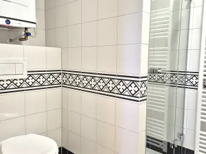 Pronájem bytu 1+1, Praha - Vinohrady, Perunova, 40 m2